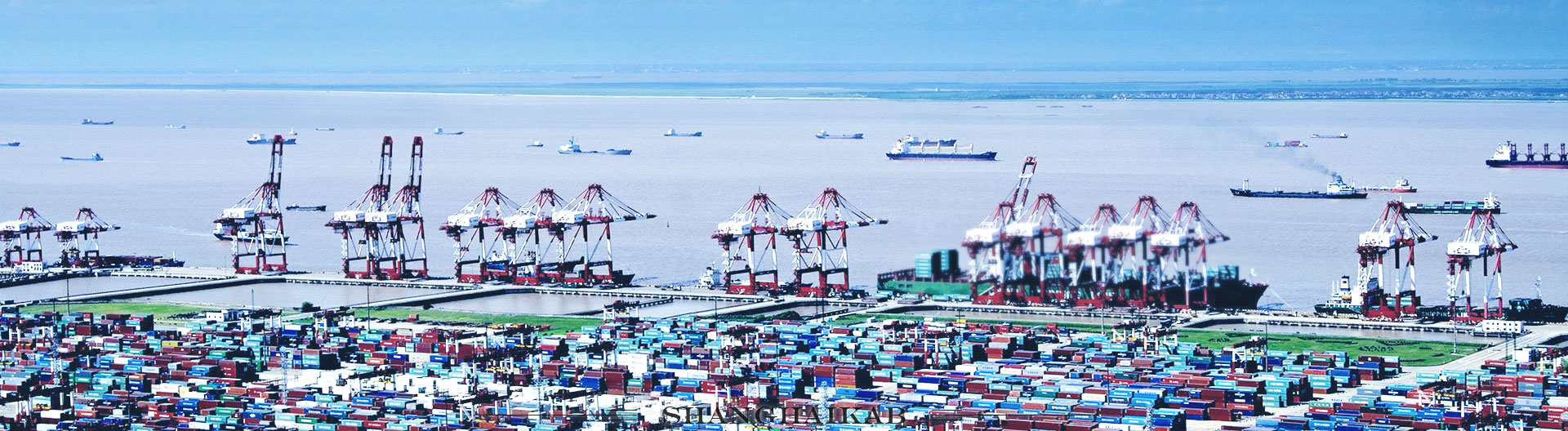 水运口岸-上海外高桥港区